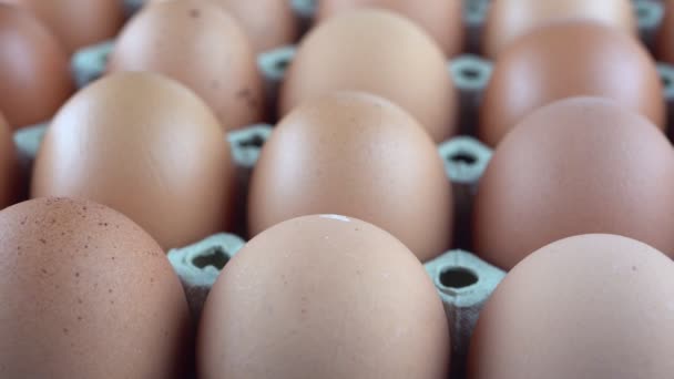 close-up rotatie video schieten van kip eieren uit de lade - Video