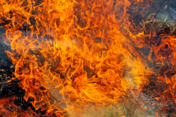 belas chamas no preto queimado terra
 - Foto, Imagem