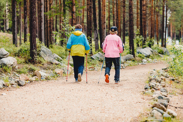 Le donne anziane vanno Nordic walking con bastoni nella foresta di conifere, concetto che è buono per il fitness
 - Foto, immagini