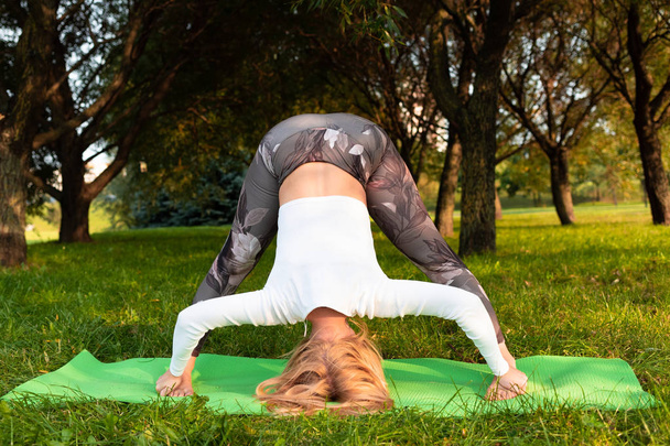 Дівчина в білій футболці і спортивні легінси роблять йогу в парку
 - Фото, зображення