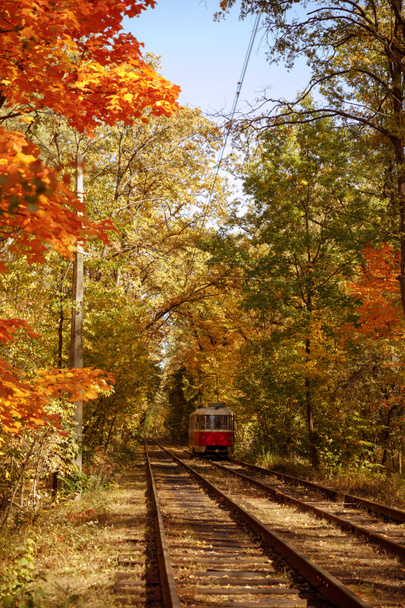 puut keltainen ja vihreä lehdet ja raitiovaunu syksyllä puistossa päivällä
  - Valokuva, kuva