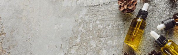 plano panorámico de botellas con aceite natural cerca de conos de abeto seco en la superficie de piedra gris
 - Foto, imagen