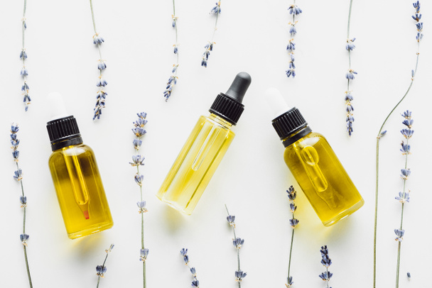 top view of dry lavender twigs with flowers and bottles with natural oil on white background - Photo, Image