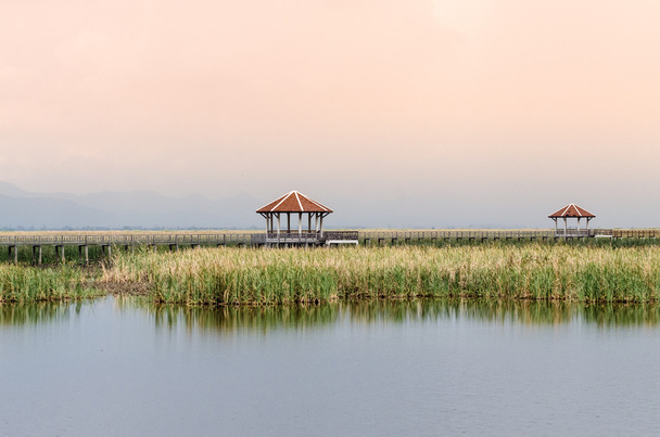 Πώμα Bua(lotus pond) Κάο Σαμ Roi ΤεμπλΒατ εθνικό πάρκο - Φωτογραφία, εικόνα