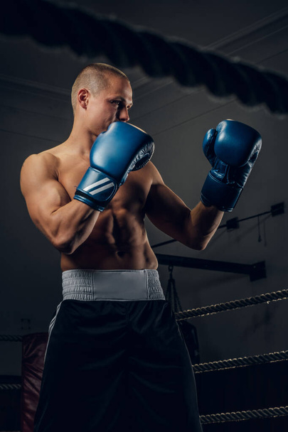 Portrait of young experienced boxer on the ring - 写真・画像