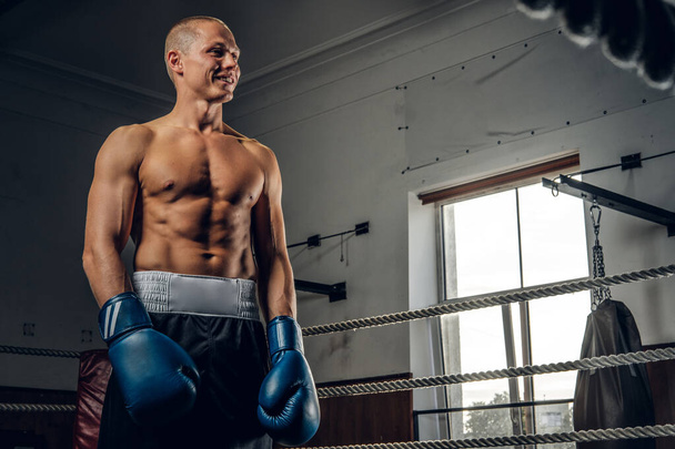 Portret młodego doświadczonego boksera na ringu - Zdjęcie, obraz