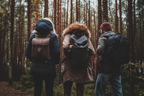 Group of friends are enjoying autumn hike in forest - Φωτογραφία, εικόνα