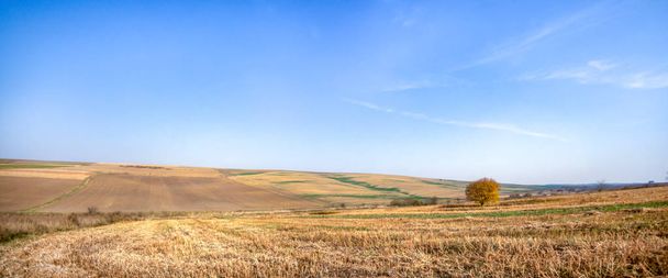 Panorama eines landwirtschaftlichen Feldes - Foto, Bild