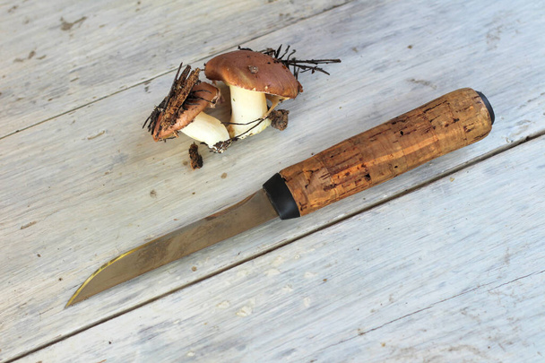 Champignons Suillus. Un bras de champignons du beurre sales, non pelés, sur la table avec un couteau
. - Photo, image
