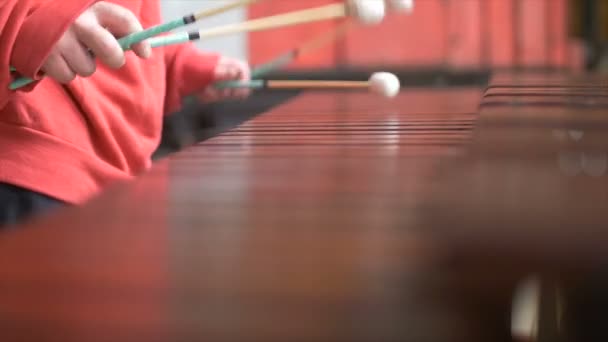 Corpo e mãos de mão músico, Homem tocando a marimba em roupa vermelha - Fábrica de reparo de trem velho
 - Filmagem, Vídeo