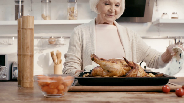 smiling woman putting on table turkey - Footage, Video