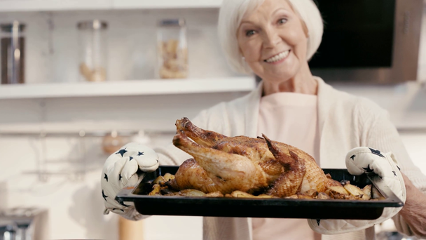 smiling woman holding tasty turkey  - Footage, Video