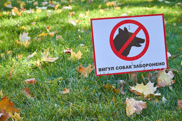 Green lawn with fallen maple leaves and a sign with the inscription in Ukrainian: dog walking is prohibited - Photo, Image