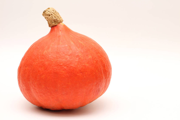 Isolated red kuri squash on a white background. Side view of a small pumpkin without the ridges. - Foto, Imagen