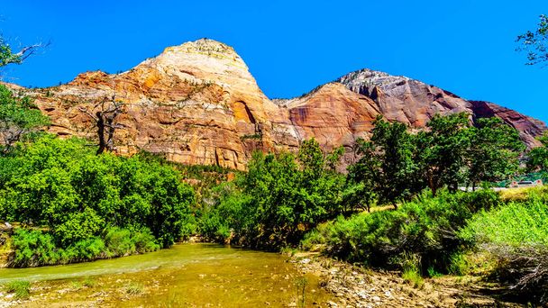 Los acantilados de piedra arenisca Massive Red, Pink y Cream de Bridge Mountain vistos desde el sendero Pa 'rus mientras sigue el serpenteante río Virgin en el Parque Nacional Zion, Utah, Estados Unidos
 - Foto, imagen