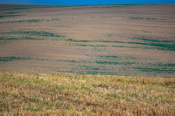 Sown field in autumn day - Fotografie, Obrázek