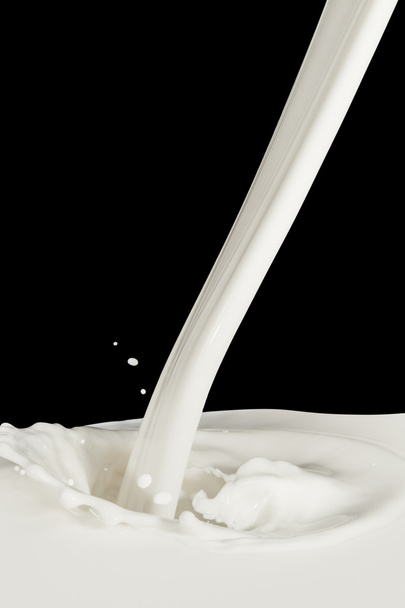 Splash de leite - Foto, Imagem