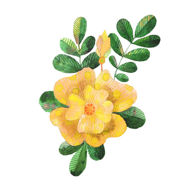 Watercolor stylized dog roses illustration flowers, leaves - Foto, Imagem