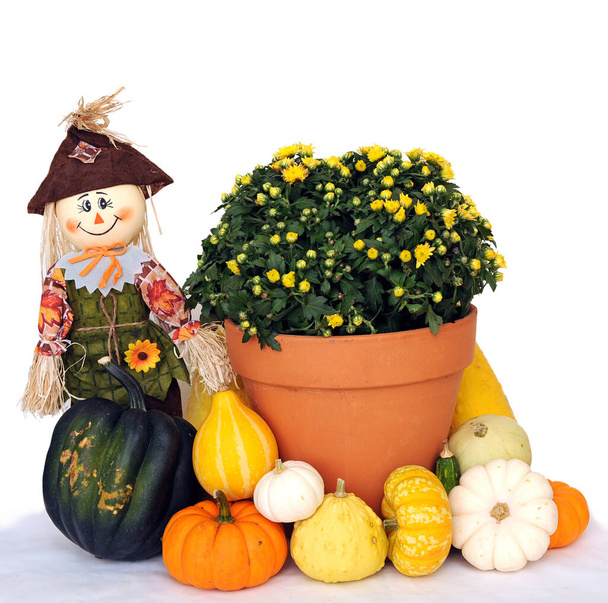 decoration of Halloween and Thanksgiving - Photo, Image