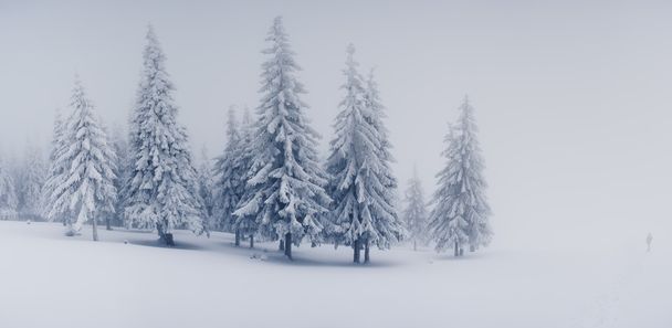Hermoso paisaje de invierno - Foto, Imagen