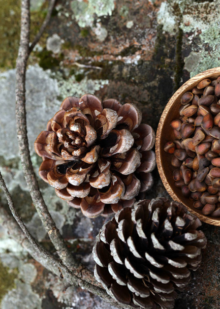 natural organic pine cones and nuts - Foto, afbeelding