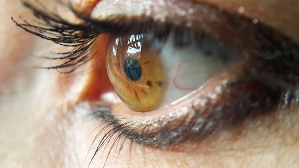 Lidské oko close-up hnědozelené, smutný pohled, v oku můžete vidět červenou, krevní cévy, obraz je pořízen ve výběrovém zaostření a ze strany. - Fotografie, Obrázek