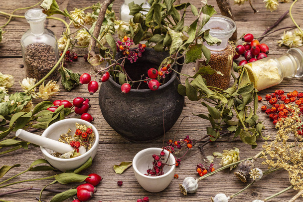 Halloween concept background. Witch bowler, mistletoe, elderberry. Dry herbs, flowers, fresh berries - Photo, Image