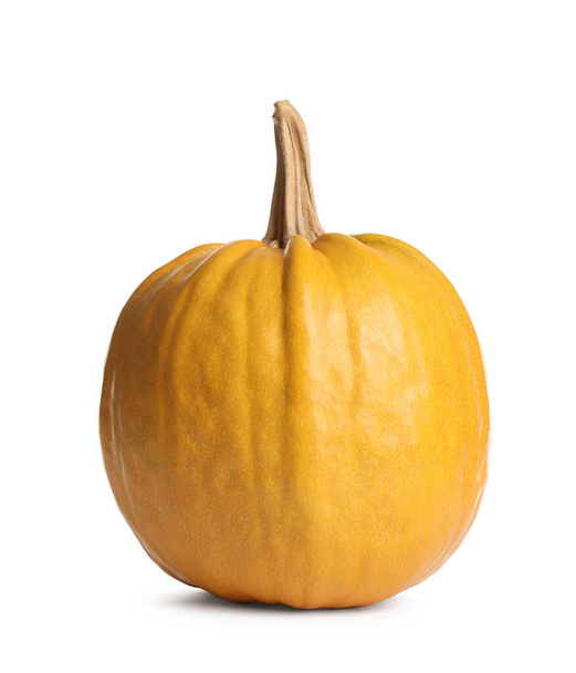 Fresh ripe pumpkin isolated on white background. Autumn season - 写真・画像