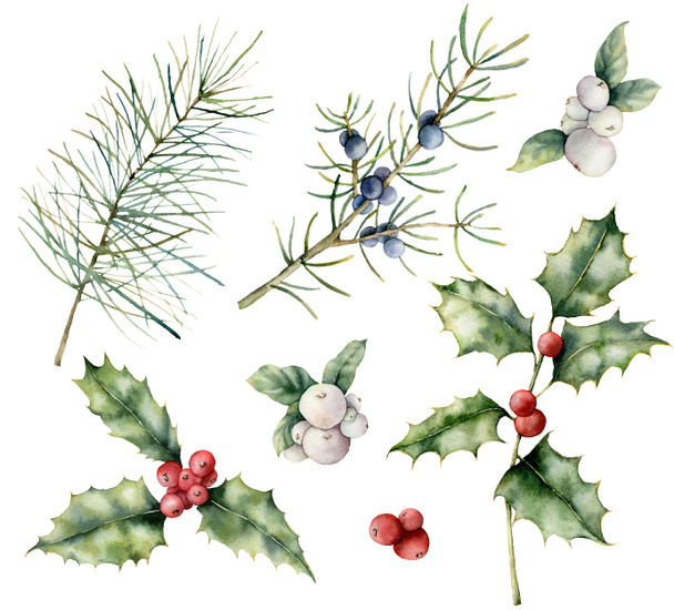 水彩ベリークリスマスシームレスパターン。白い背景に隔離されたホリー、ミスレットとジュニパーで手描きの休日の植物。デザイン、印刷、背景のための冬の花のイラスト. - 写真・画像