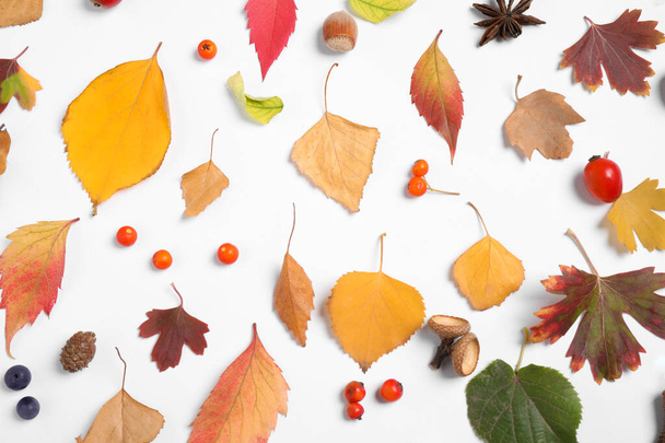 Beautiful composition with autumn leaves on white background, flat lay - Foto, immagini
