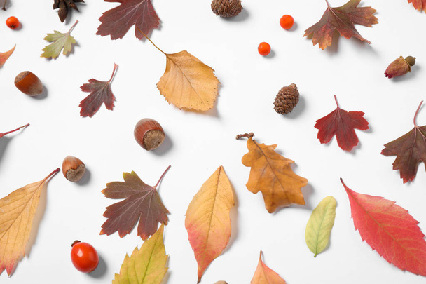 Prachtige compositie met herfstbladeren op witte achtergrond, vlak gelegd - Foto, afbeelding