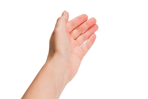 Χέρι γυναίκας απομονωμένο σε λευκό. - Φωτογραφία, εικόνα