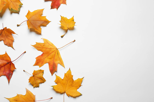 Flat lay composition with autumn leaves on white background. Space for text - Foto, afbeelding