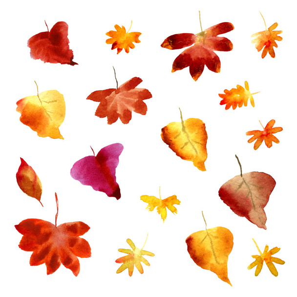 Set of watercolor fall leaves. Collection of natural hand drawn  - Foto, immagini