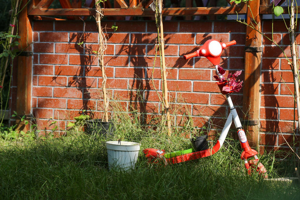 Hulajnoga dla dzieci Red w ogrodzie  - Zdjęcie, obraz