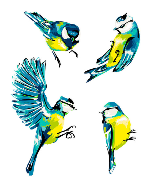 Illustrazione vettoriale con l'uccello e la cinciallegra su sfondo bianco isolato
. - Vettoriali, immagini