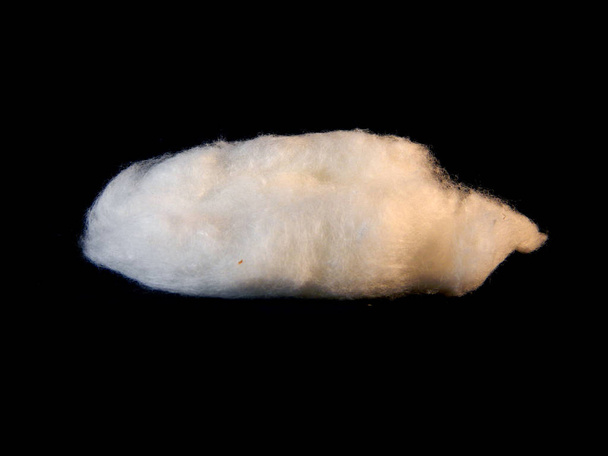 lã de algodão isolado no fundo preto
 - Foto, Imagem