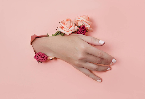 Hand with paper flowers and painted nails is thrust through a ho - Foto, Imagen
