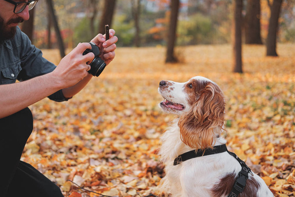 Man photographing his dog in a park. - 写真・画像