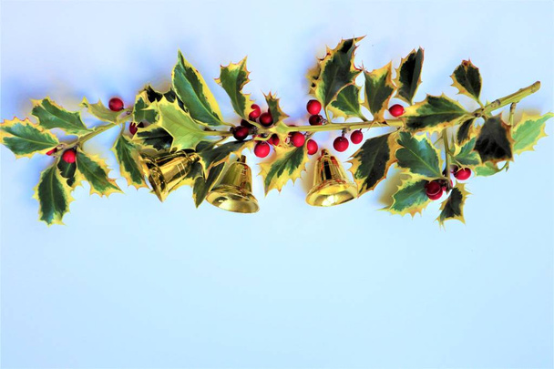 Christmas holly with red berries. - Foto, Bild