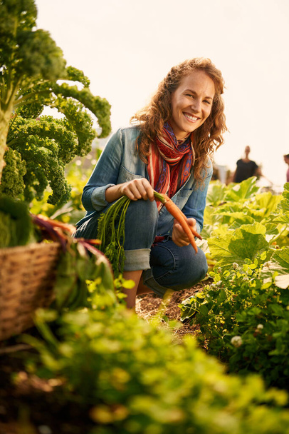 立地が素晴らしい屋上の温室から新鮮な野菜を収穫 - 写真・画像