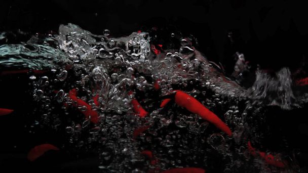 Červené chilli papričky a voda stříkající izolované na černém pozadí - Fotografie, Obrázek