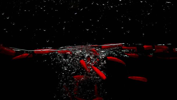 Red chilli and water splash isolated on black background - Фото, изображение