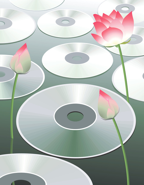 Compact discs between lotus - Vektor, Bild