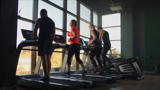 Jovens atléticos homens e mulheres exercitando e correndo em esteira rolante no ginásio esporte
 - Filmagem, Vídeo