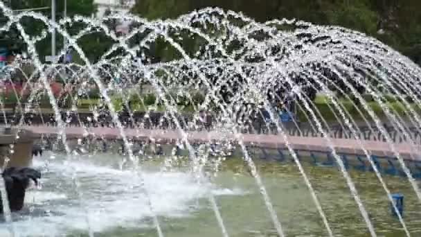 Letnia fontanna w centrum miasta - Materiał filmowy, wideo