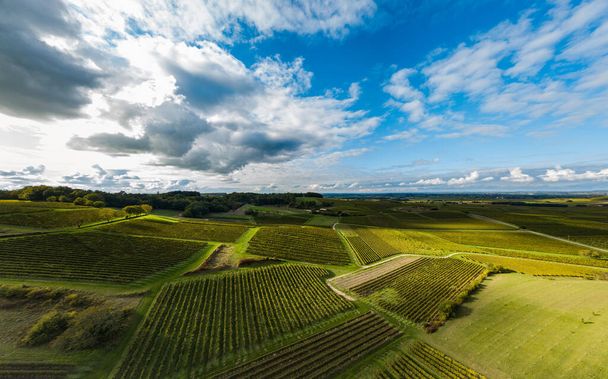 France, Charente, Saint Preuil, Vue aerienne du vignoble de Cognac - Photo, image