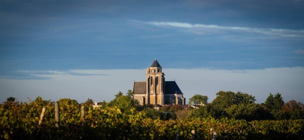 ロンザック、コニャックのブドウ畑、教会サント・マリー・ド・ロンザック - 写真・画像