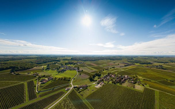 Francia, Charente, Saint Preuil, Vue aerienne du vignoble de Cognac - Foto, Imagen