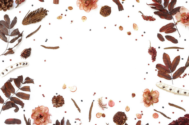 Dried flowers leaves and berries composition . Beautiful autumn plant frame - Foto, Imagem